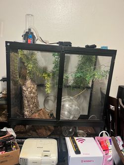 Chameleon terrarium