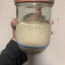 Sourdough Starter