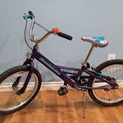 20" Trek Mountain Lion Kids BMX Bike 