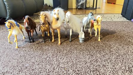 Horses