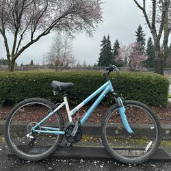 Trek 820 WSD (Women’s Specific Design) Mountain Bike Step Thru Bicycle Low step small 16” frame