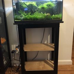 Euro Frameless Bowfront Aquarium Many Extras 