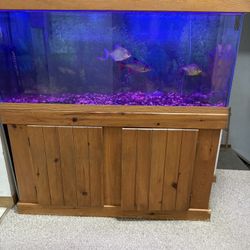 Canopy 55 Gallon Aquarium Fish Tank