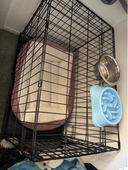 Dog Cage & Accessories