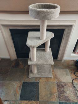 Cat Condo/tower