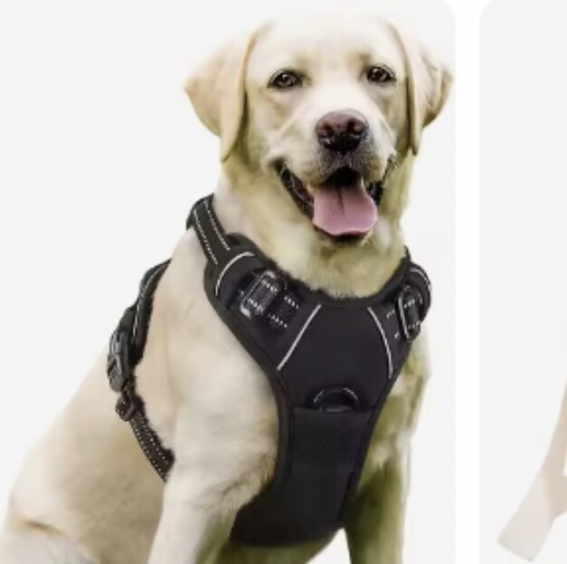 Dog harness / Large Size Fits 66-100 Pound Dog