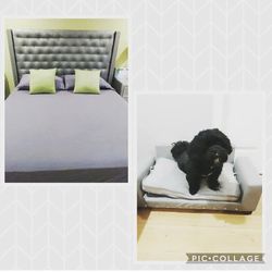 Modern Grey Tufted Pet Bed