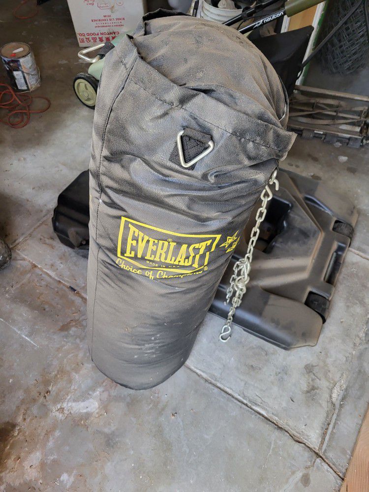 Free 50 lb Everlast punching bag with optional rack