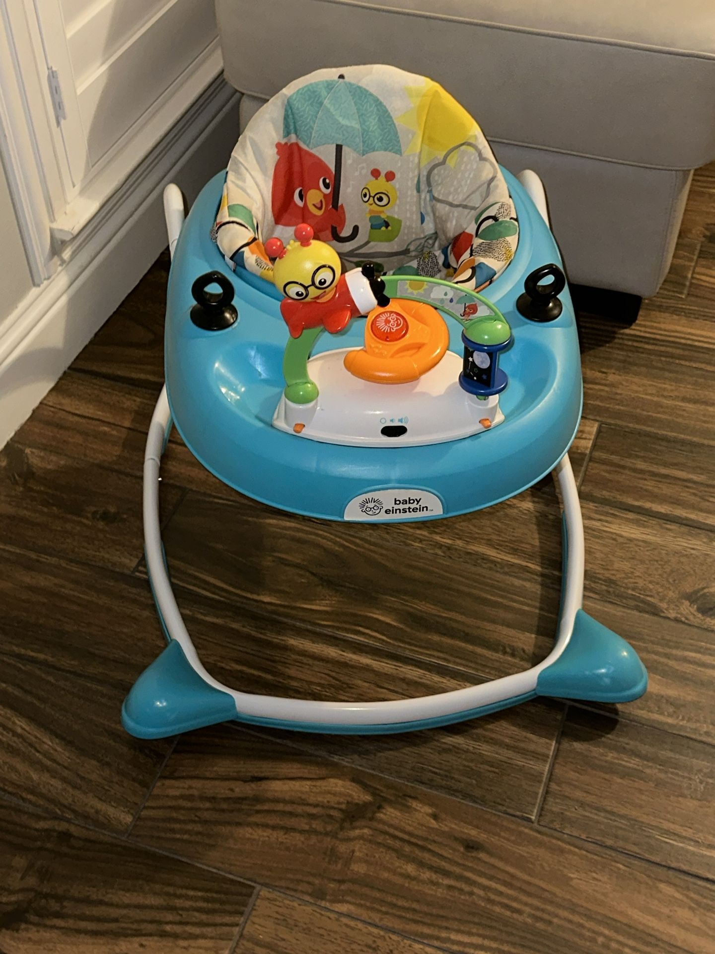 Baby Einstein Walker