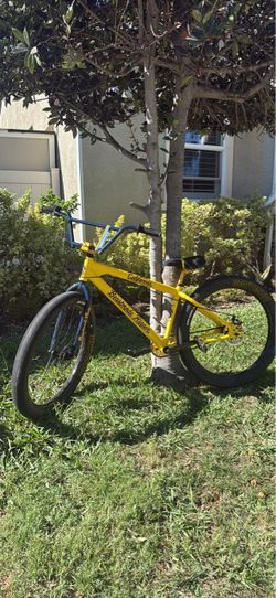 Se bike LIMITED EDITION
