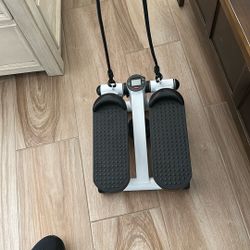 Mini Stepper 