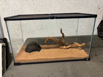 Glass Reptile Tank