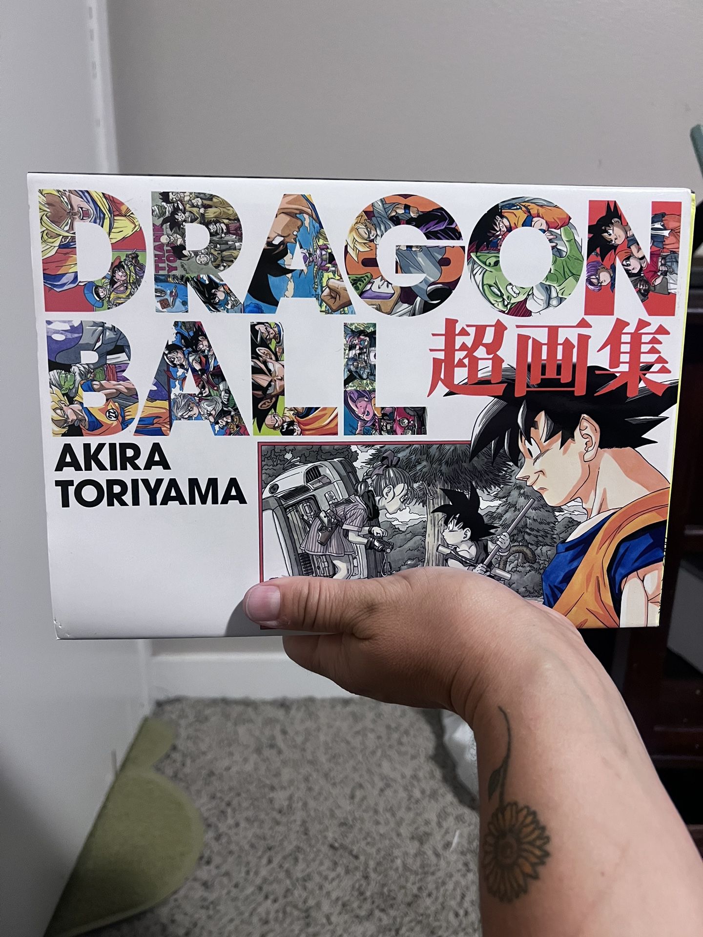 Dragon ball Book