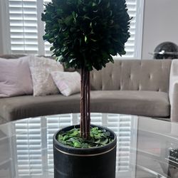 Decorative Topiary NWT