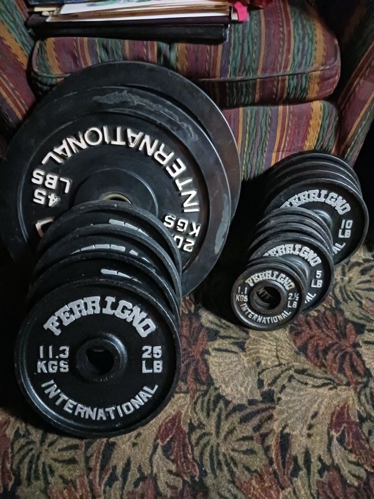 255 lb Set Of Ferrigno 2 in Weight Plates