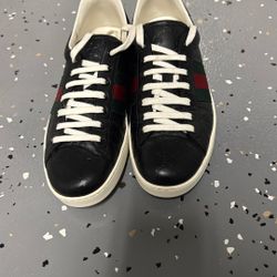 Authentic Gucci Sneakers 