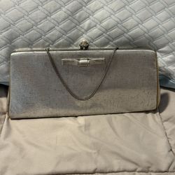 Silver Clutch Purse