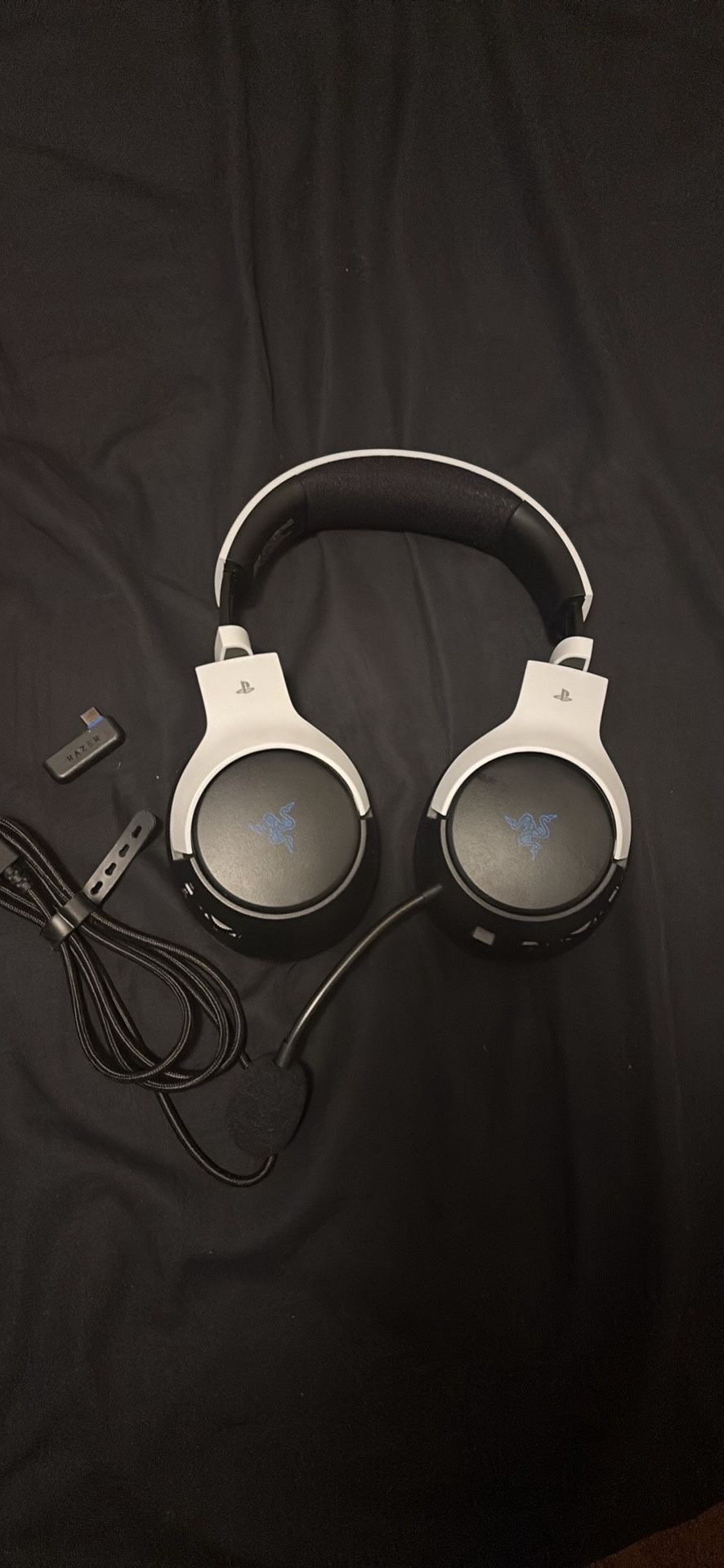 PlayStation Headphone And Camera