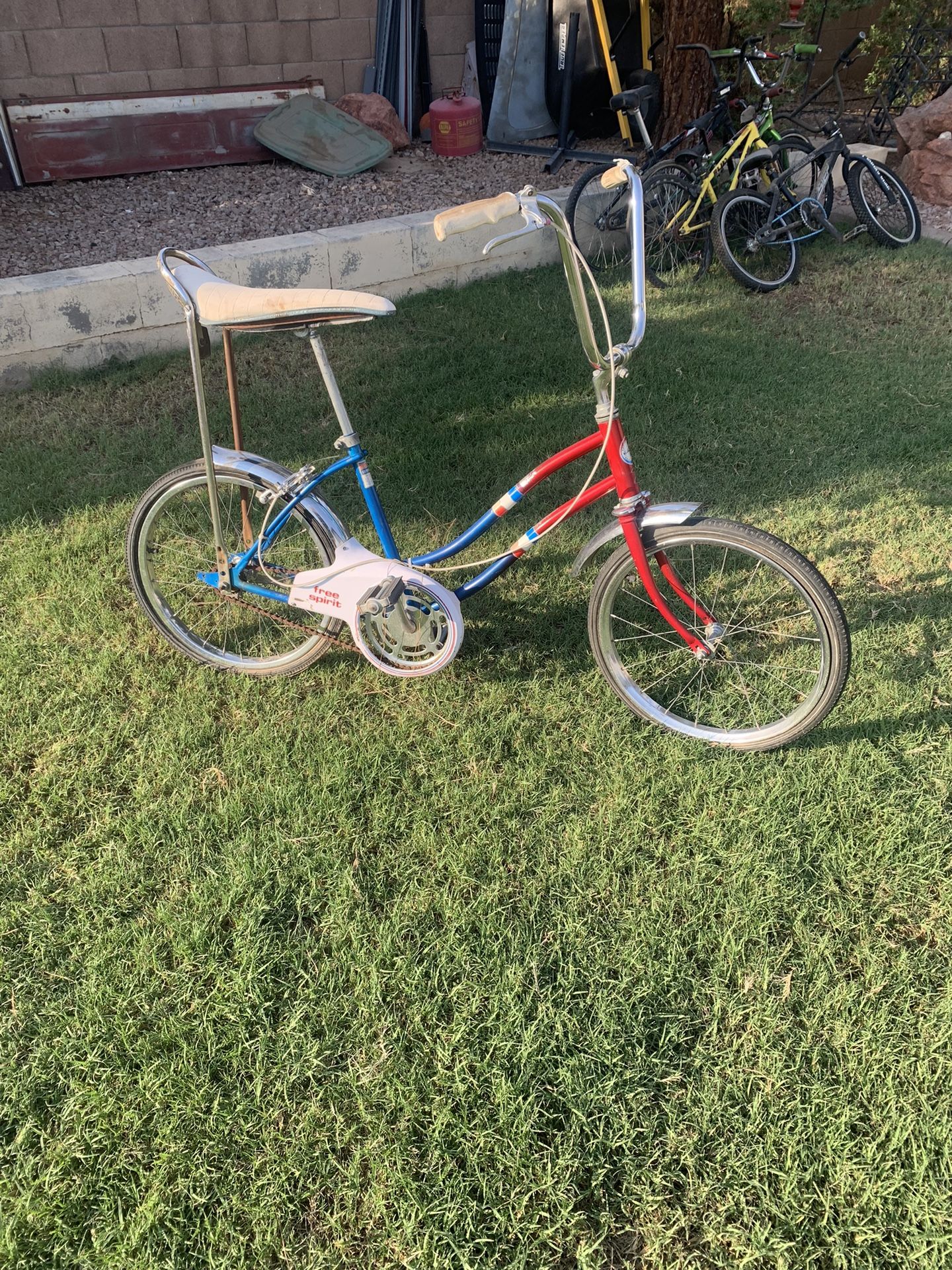 Schwinn Bicycle Schwinn Free Spirit 70s Schwinn Free Spirit