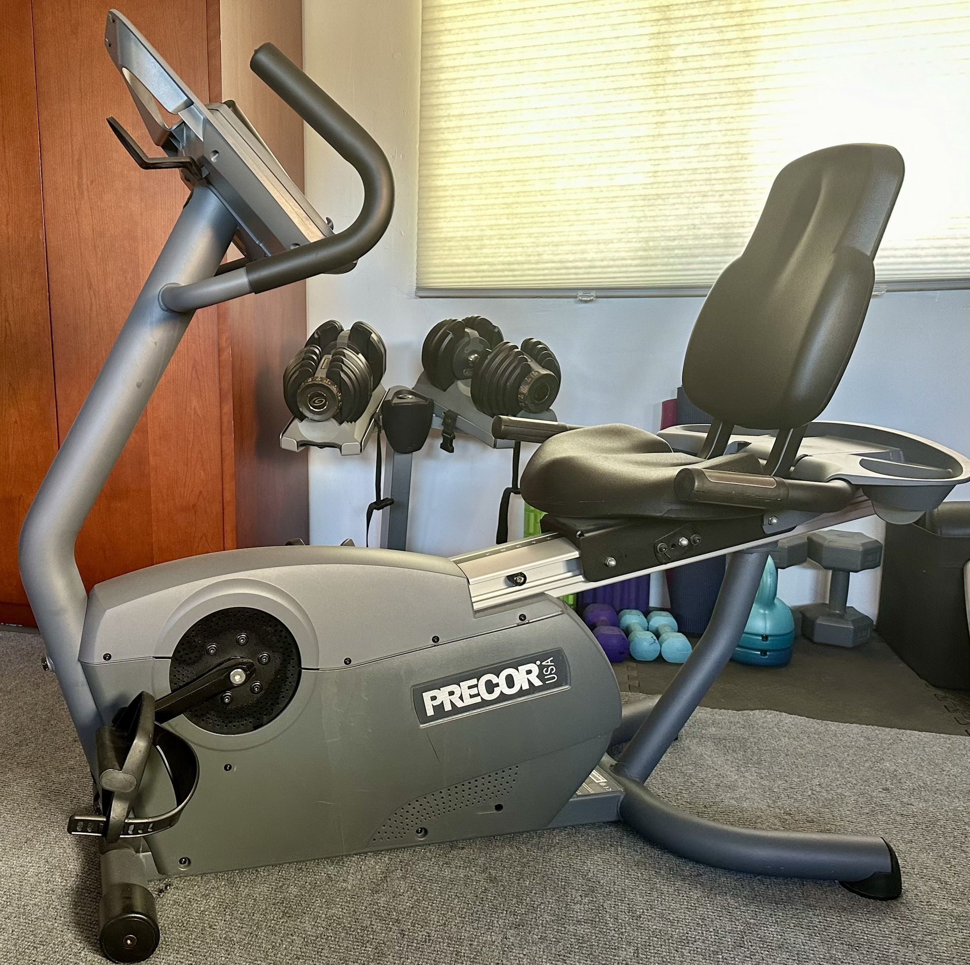 Precor C842i recumbent exercise bike