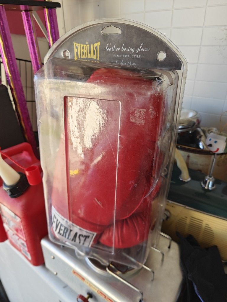 Everlast Boxing 🥊 Gloves Laceless