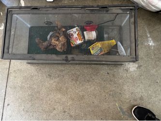 20 gallon reptile tank