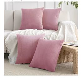Velvet Throw Pillow set