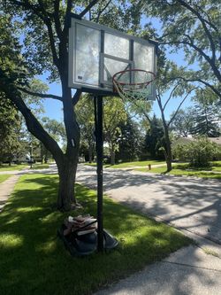 Lifetime Shatterproof Basketball Hoop