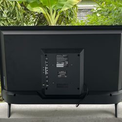 Insignia Flat Screen Tv