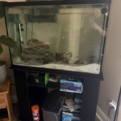 40 gal Aquarium + stand