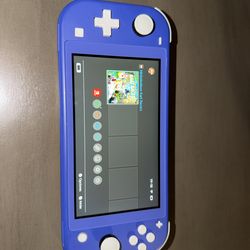 Switch lite