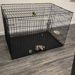 Amazon Basics Durable, Foldable Metal Wire Dog Crate with Tray, Single Door, 48 x 30 x 32.5 in, Black