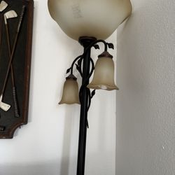 Floor Lamp - MOVING OUT, NEED IT GONE TODAY!