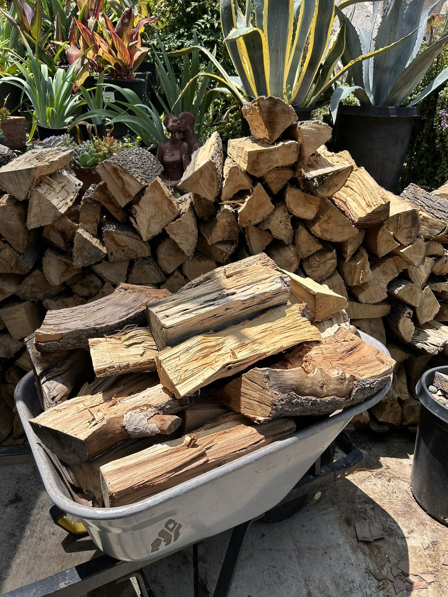 Firewood 🪵