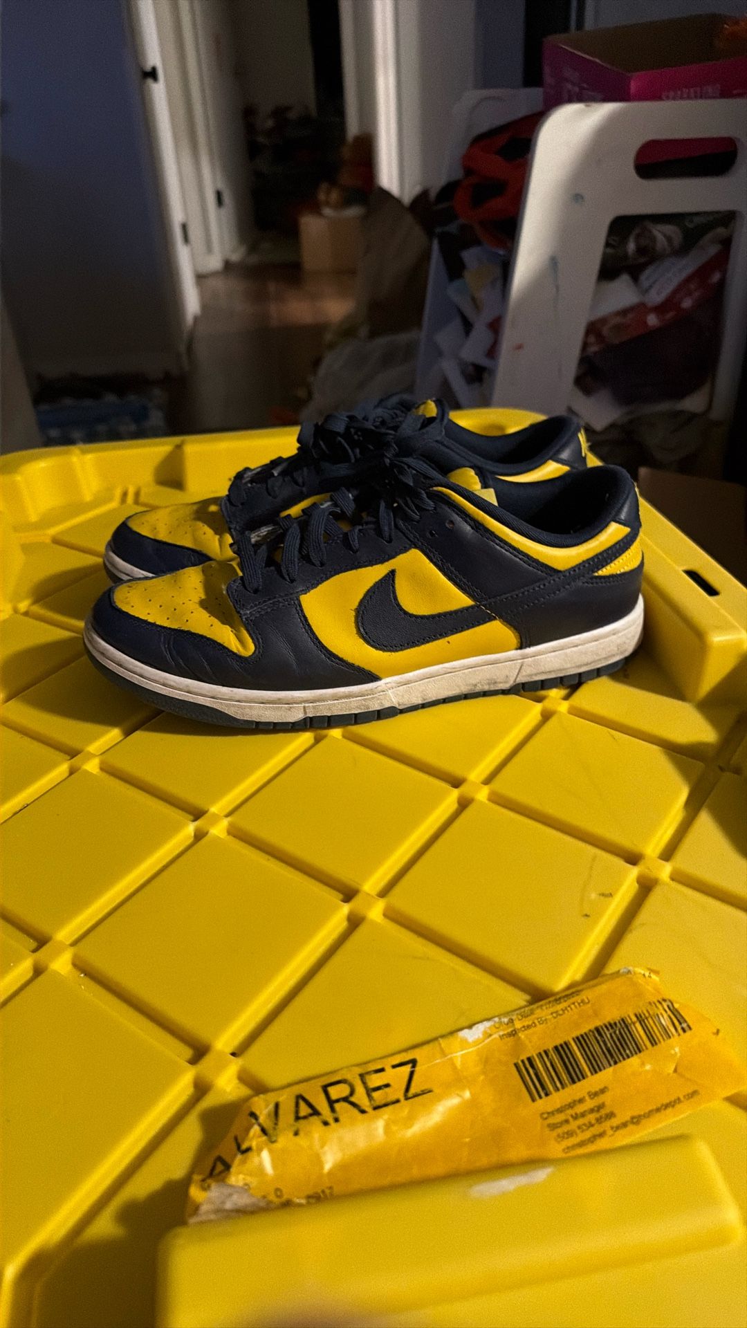 Michigan Colored Nikes