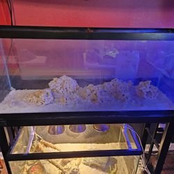 55 Gallon Aquarium 