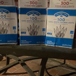 100 Cool White Led Mini Lights