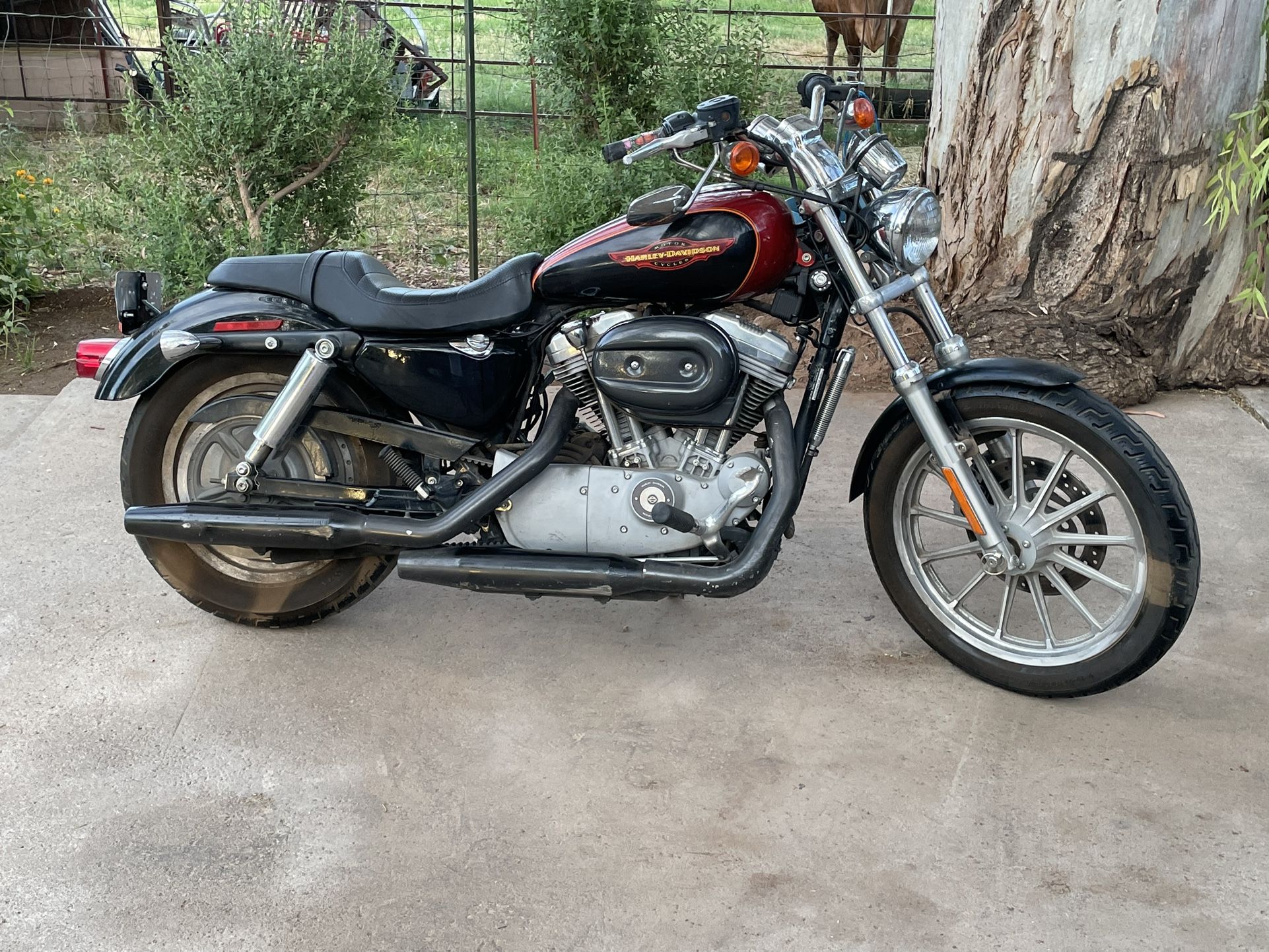 2004 Harley Davidson Sportster