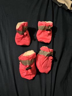 Dog boots