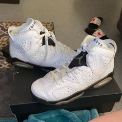 Air Jordan 6 Retro Alligator