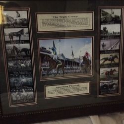 Horse Racing Picture
