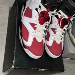 Jordan Carmine 6s Size 11.5