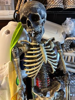 New poseable 38” h hanging skeleton