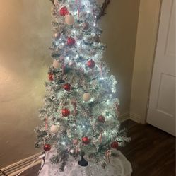 Christmas tree for sale