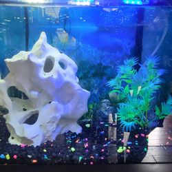 10 Gallon Aquarium With Whisper Flow