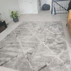 8x10 Luxury Area Rug