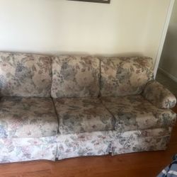sleeper sofa 