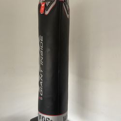 ROX Punching bag