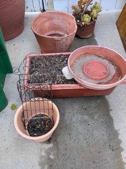FREE GARDEN SUPPLIES!