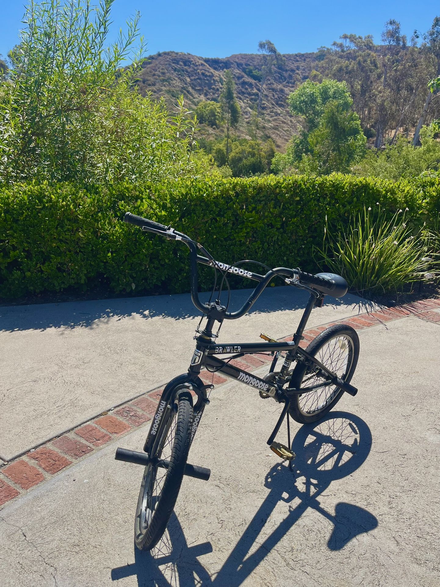 Mongoose BMX Bike